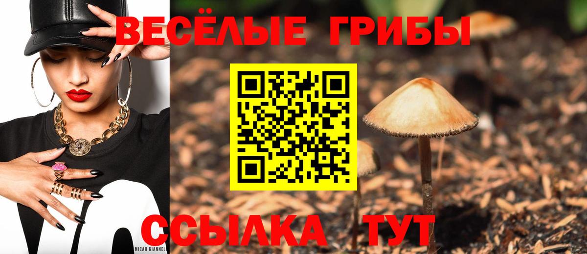 Галлюциногенные грибы прущие грибы  Вход с VPN  Минусинск  Галлюциногенные грибы прущие грибы 